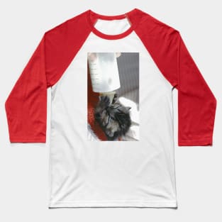 New photo de  " Zazou " Cat - Chat  4 (c)(t)  Olao-Olavia / Okaio Créations Baseball T-Shirt